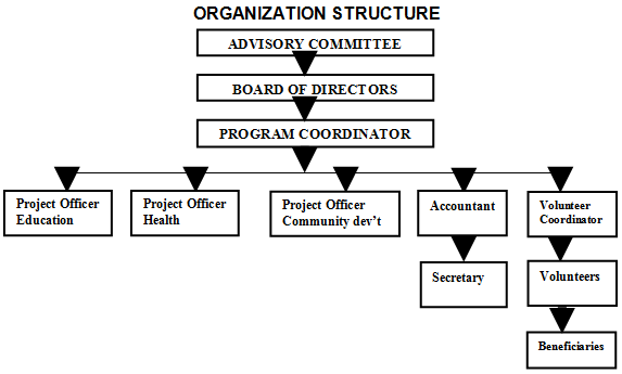 The organizational structure after the implementation of Vizum